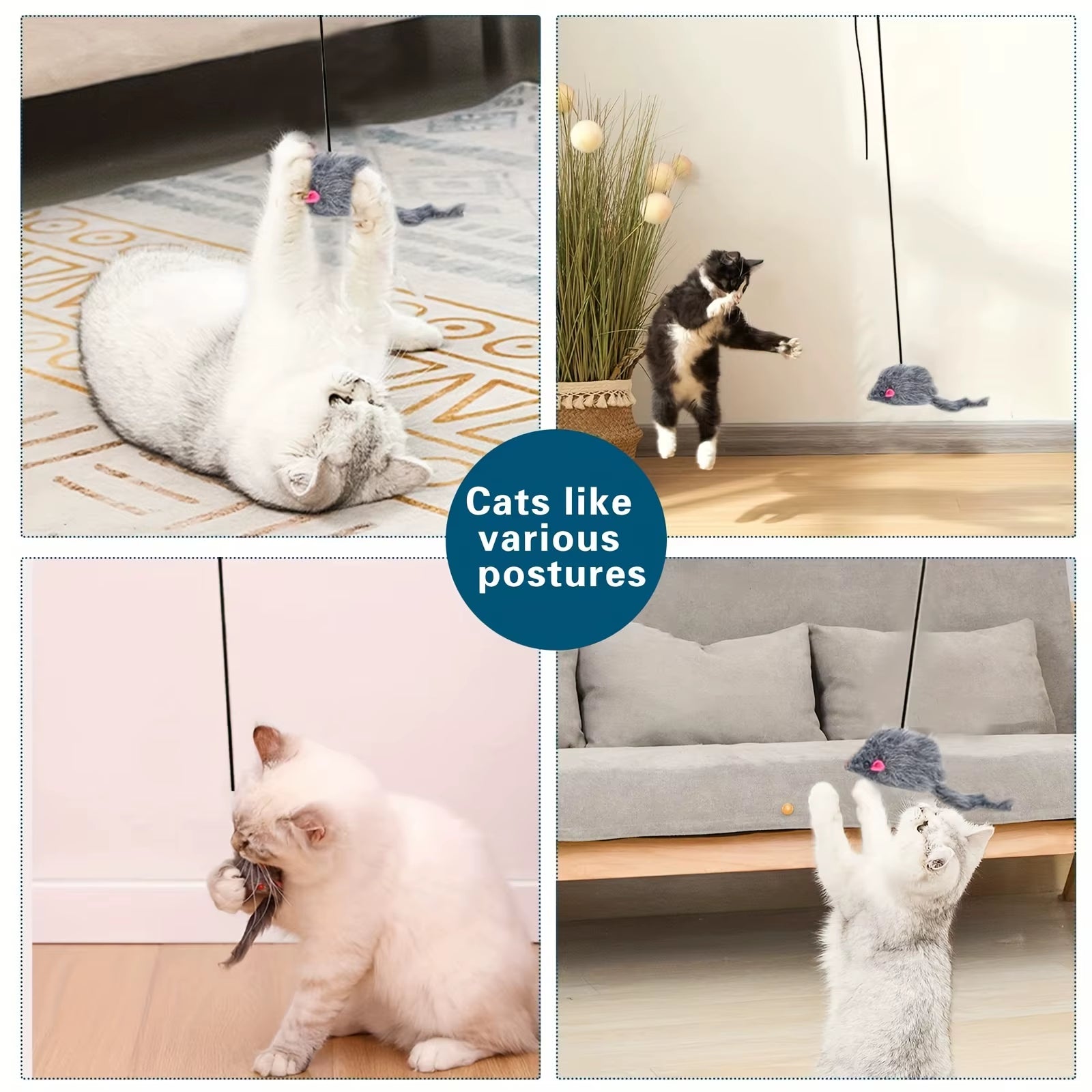 Hanging Cat Toy for Stress Relief - Indoor and Outdoor Use for Living Room and Kitten Play